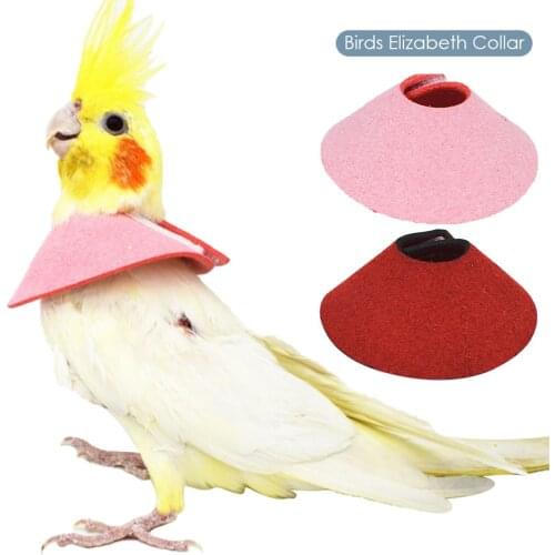 Parrot Collar Recovery Collar Anti-Biting Pecking Injury Elizabeth Protective Collar For Birds Black Phoenix Cloak