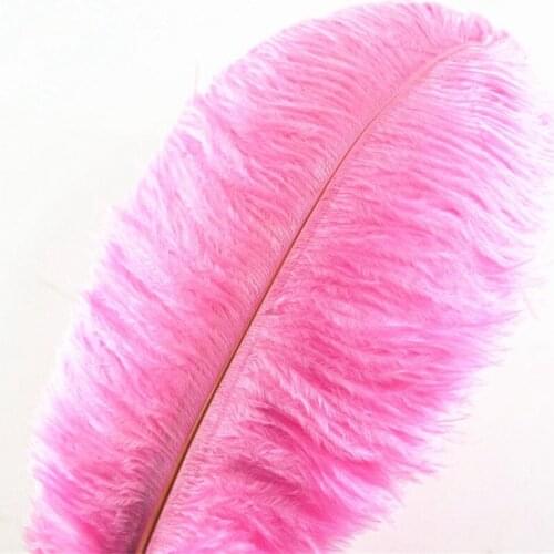 50Pcs/Lot Pink Ostrich Feathers for Crafts Plumas 15-70cm Feathers Ostrich Plumes Wedding Feather Decoration Carnaval Assesoires
