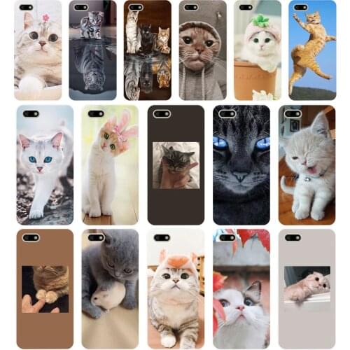 90AA Cat cute Soft Silicone Tpu Cover phone Case for Huawei Honor 7A PRO 5.45 5.7 7C 7X Y5 2018