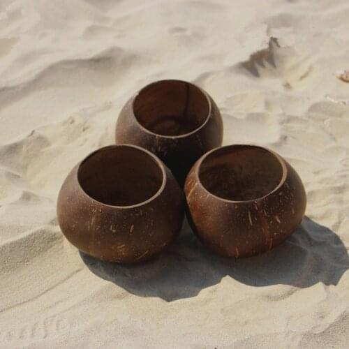 Coconut Shell Salad Bowl Handmade Tableware Dinnerware Sets Adult Dinner Service No Paint No Wax Children Adult Family Bowls