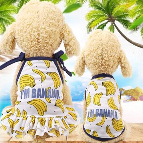 Summer pet dog clothes girl dog shirt skirt Teddy dog clothes