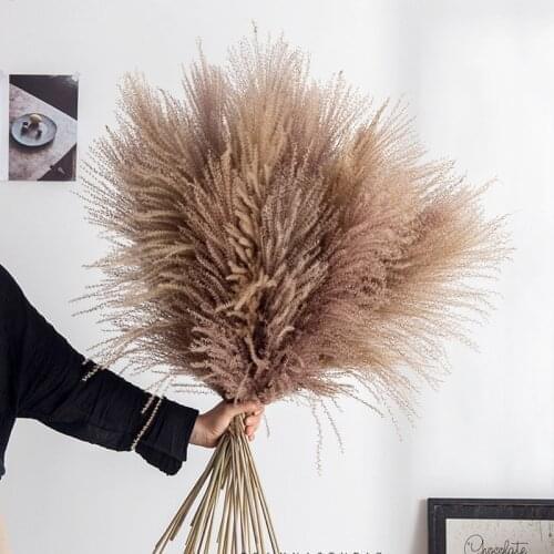 10 Pcs Natural Dried Pampas Grass Phragmites &Reed Flowers Decoration Wedding Home Christmas Decoration Real Plants Bouquet
