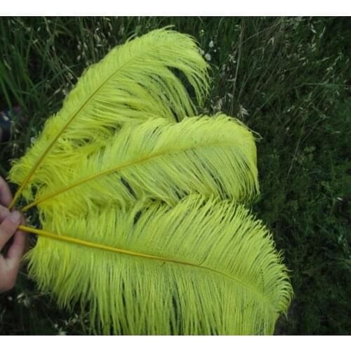 Cheap! Beautiful yellow ostrich feathers 50 pcs 14-16 inches / 35-40 cm Free Shipping