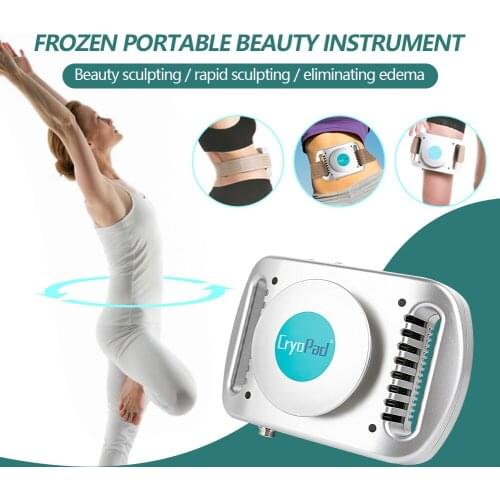 US/EU/AU/UK Plug Fat Lose Freezing Machine Body Slimming Weight Loss Lipo Anti Cellulite Dissolve Fat Cold Therapy Beauty Massag