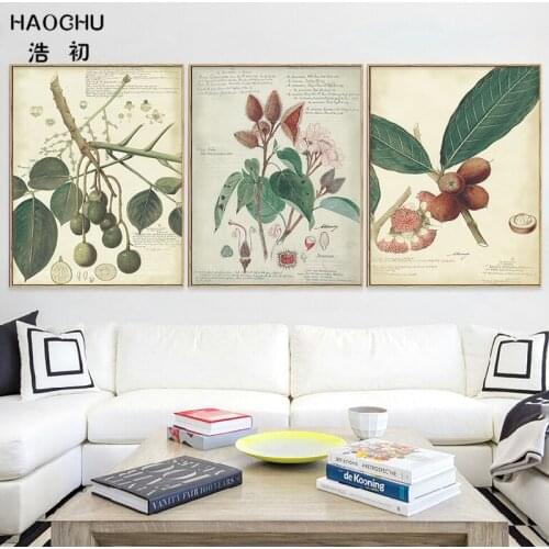 HAOCHU Triptych American Vintage Rural Plant Illustrated Guide Hawthorns Berry Canvas Painting Wall Poster For Living Room Decor