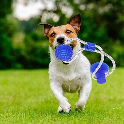Pet Toys with Suction Cup Dog Push Toy with TPR Ball Pet Tooth Cleaning Chewing Rubber Dog Toys for Small Dogs Rubber Dog Toy