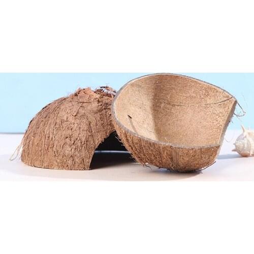 Reptiel Verbergen Habitat Natuurlijke Kokosnoot Lizard Spider Kleine Dier Cave Huis 1pc