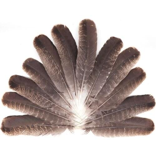 Wholesale Natural Eagle Feathers 20-25cm/8-10inch Turkey Pheasant Eagle Bird Feathers for Crafts Jewelry Making Carnival Plumes