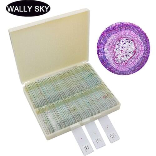 100 PCS Prepared Microscope Slides Plants Animal Insects Human Tissues Microscope Glass Slide for Biological Studying Teaching