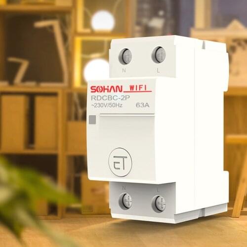 Household 1P 50A/2P 63-80A Intelligent Switch WiFi Circuit Breaker Remote Phone APP Voice Control Timing Switch