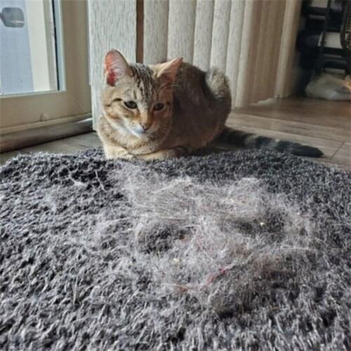 Pet Carpet Hair Removal Cleaning Brush Household Sofa Clothes Cleaning Brush Pet Shop Cat Dog Clean Tools