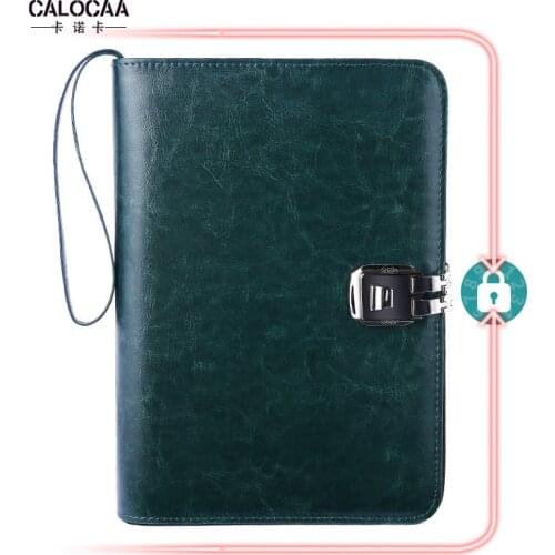 BLINGIRD Leather Diaries