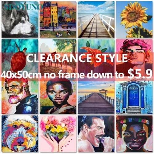 SDOYUNO Clearance style Oil Paint By Numbers Kits Painting By Numbers On Canvas Frame 60x75cm DIY Home Decor