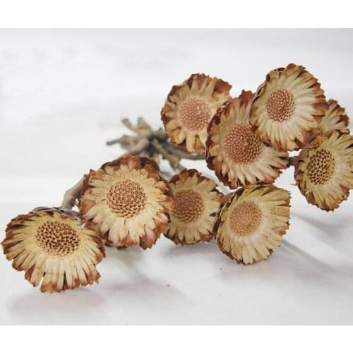 5pcs Dried Sunflower Flowers Preserved Flower For Wedding Party Home Hotel Decoration DIY Bouquet Accessory Exopy Filler