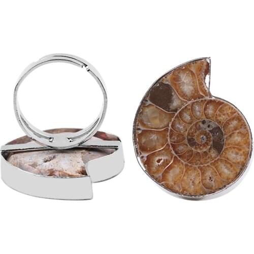 NewStyle 3pcs/Lot Natural Fossils Stone Resizable Women Men Glossy Real Ammonite Conch Sea Shell Flat Classic Ring for Jewellery