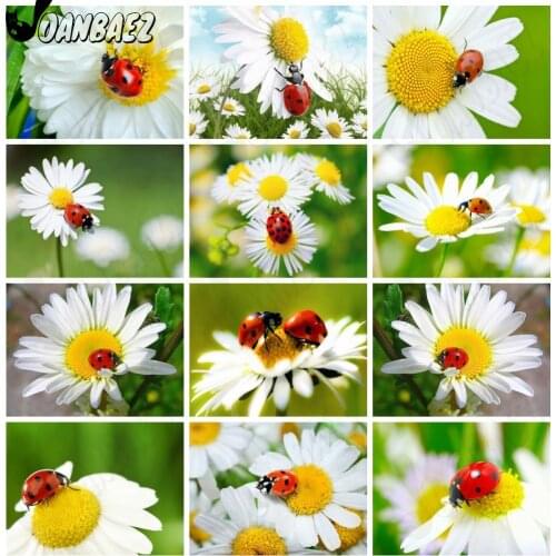 White Daisy Animal Diamond Painting 5Ddiy Seven Star Ladybug Wall Art Diamond Embroidered Home Room Decoration Gift
