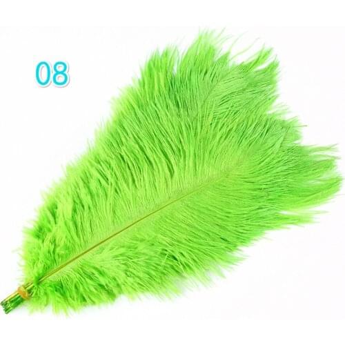 Wholesale 200pcs apple green natural ostrich feathers 50-55cm 20-22inch long ostrich plume for Wedding Carnival Decoration pluma
