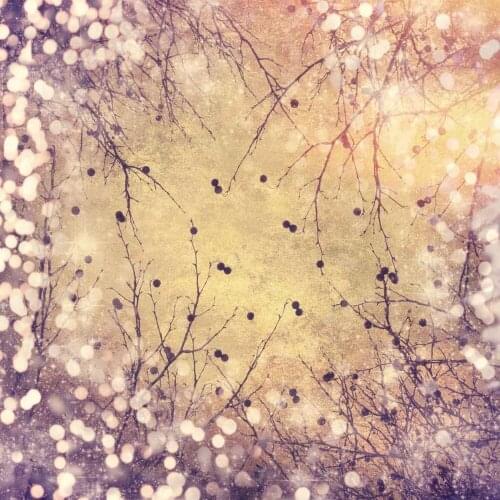 VinylBDS Yellow Photography Backdrops With Lights Old Photos Branches Sparkle Photography Backdrops Newborn Background