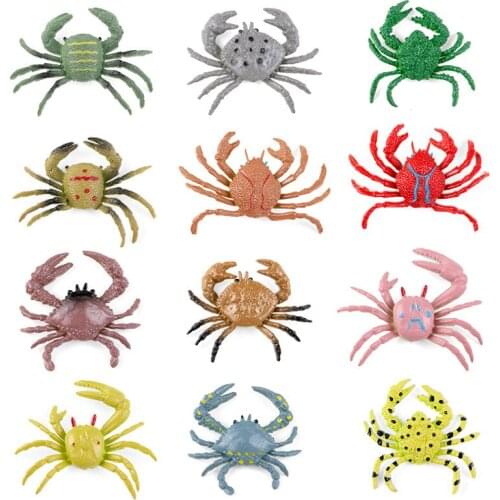 Marine Animal Model 2020 New Submarine Creature Simulation Toys Childrens Early Education Crab Hand-Made Educational Ornaments