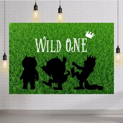 Wild One Custom Portrait Birthday Decoration Baby Shower Party Backgrounds Photography Backdrops for Photo Studio