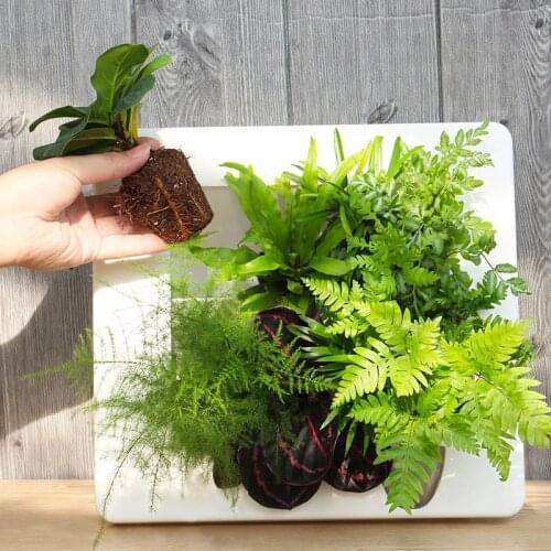 Nordic Wall Hanging Flower Pot INS Creative Desktop Decoration Living Room Succulent Plants Photo Frame Shaped Self Watering Pot