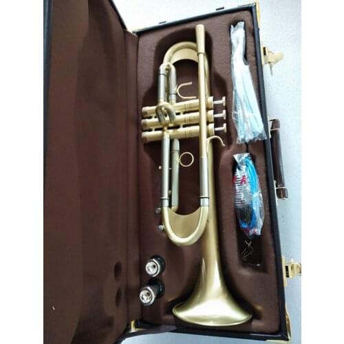 SYLZKR Wind Instruments
