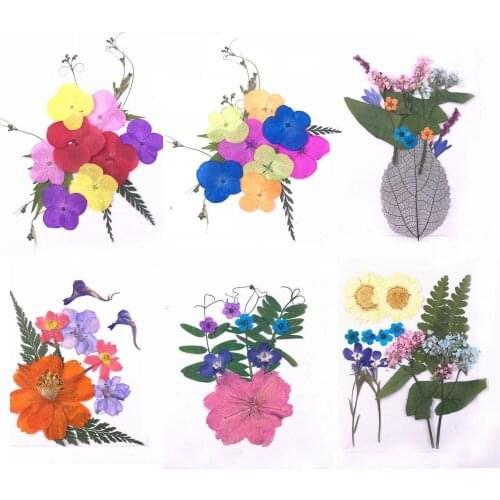 Mixed Pressed Dried Leaf Leaves+Flowers Plants Herbarium For Jewelry Phone Case Postcard Scrapbook Craft DIY Accessories HSWL