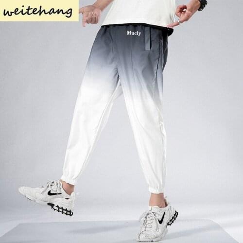 Man New Hip Hop Streetwear Joggers Pants Men Casual Cargo Pant Trousers High Street Elastic Waist Gradient Color Harem Pant 356