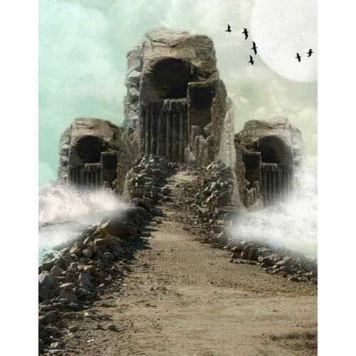 5x7ft Broken House Black Bird Photography Backdrops Photo Props Studio Background