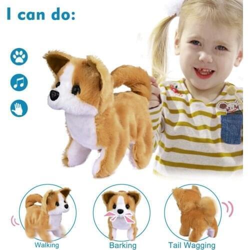 BEHATRD Interactive Toys