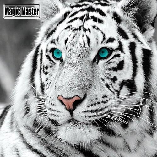 DIY 5D Full Diamond Painting Cross Stitch Painting White tiger Diamond Embroidery Needlework Patterns Rhinestone kits