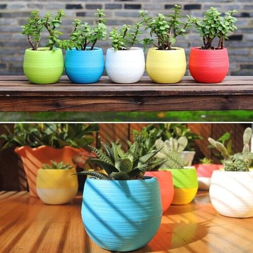 Mini Colourful Round Plastic Plant Flower Pots Home Office Decor Planter Home Pot Desktop Floor Decoration