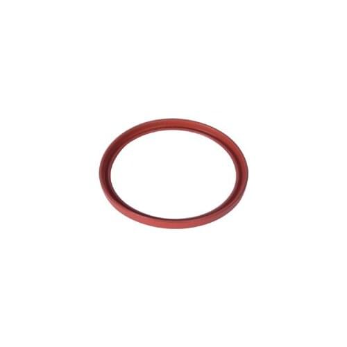 TURBO PIPE GASKET 7701068601