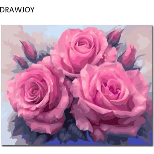 DRAWJOY Flower Framed Picture DIY Painting By Numbers Hand Painted Oil On Canvas Wall Painting Home Decoration GX7903 40*50cm