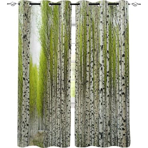 Kitchen Curtains Plants Birch Forest Trees Window Curtains Living Room Bedroom Decor Items Curtains for Bedroom