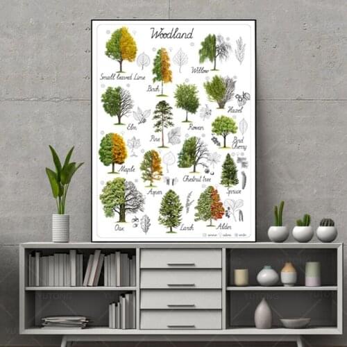 Tree Natural Educational Poster Art Woodland Home Wall Decor Botanical Materials Preschool Painting Retro poster canvas framed