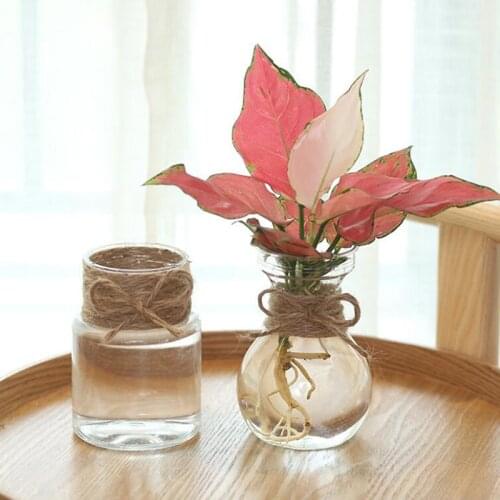 Clear Glass Hyacinth Vase Transparent Flower Plant Bottle Pot DIY Ornaments Home Living Room Garden Decoration Desk Decors