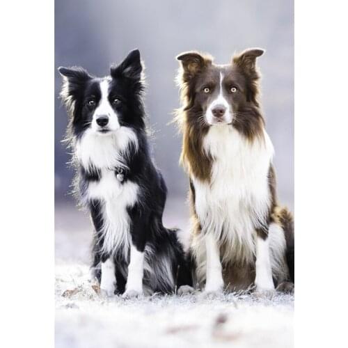 5D Diy High Quality Diamond Painting Cross Stitch Animal dog Diamond Embroidery Pattern Drill Mosaic Home Decor Gift Art