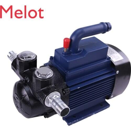 220V Explosion-Proof Brushless Pumping Oil Pump Electric Self-Priming Pump Gasoline Diesel Methyl Alcohol 12v24v Large