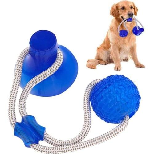 Pet Molar Bite Toy, Suction Cup Dog Toy Rubber Chew Toys Interactive Puppy Training Rope for Teeth Cleaning Pet Supplies