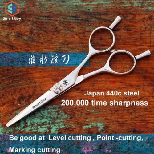 Free shipping 5.0" 5.5" 6.0" inch hair tools manufacturer professional Hair cutting shears in Japan 440c steel, S3-60