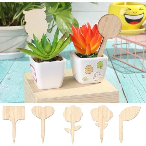 10/20pcs Bamboo Plant Labels Markers Bonsai Label Tags for Garden T-shape Plant Sign Tags Seed Potted Herbs Flowers Tools