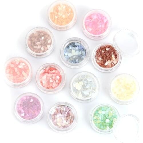1 Set ( 12 PCs/Set) Shell Resin Jewelry Craft Filling Material Mixed Color Shell Crystal Glue Special Shell Fragment 28mm Dia