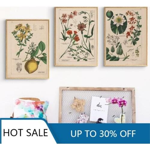 Canvas Painting Botanical Collection Vintage Posters and Prints Herbs 1898s Russian Language Wall Art Pictures Home Decor