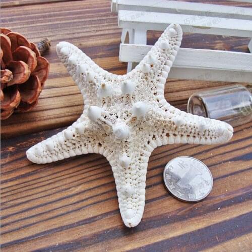 1pcs Mini Natural Starfish Craft Decoration Living Sea Kids Room DIY Decor Bedroom Cottage Mediterranean Beach Stars