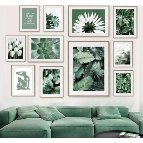 White Tulip Green Orchid Aloe Monstera Plant Art Canvas Painting Nordic Posters and Prints Wall Pictures for Living Room Decor