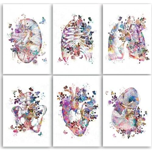 Brain Heart Lung Anatomy Diamond Embroidery Anatomical Organ Human Anatomy Diamond Painting 5d DIY Mosaic Doctors gift