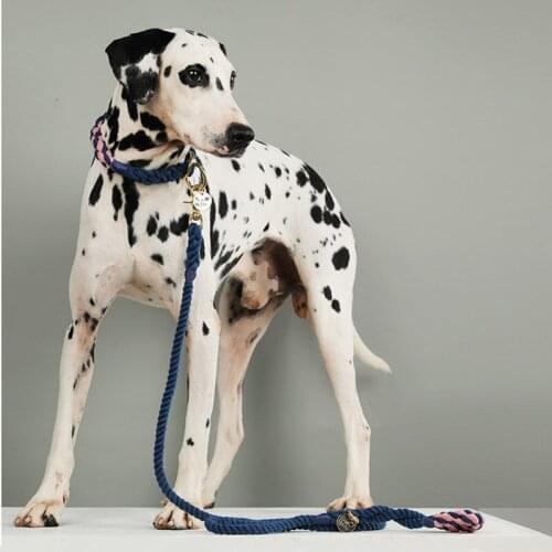 Handmade Dog P Type Traction Rope Explosion Proof Dog Leash Small-large Dog Leads Weimaraner Doberman Labrador Dog Accessories