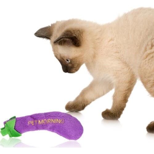 1pc Cute Cat Toy Creative Carrot Eggplant Pepper Fish Decor Catnip Toy Cat Chewing Toy Pet Supplies