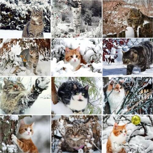 HUACAN 5D Cat Full Square/Round Diamond Painting Animal Mosaic Embroidery Winter Cross Stitch Decoration For Home